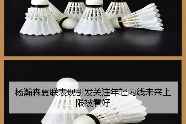 杨瀚森夏联表现引发关注年轻内线未来上限被看好